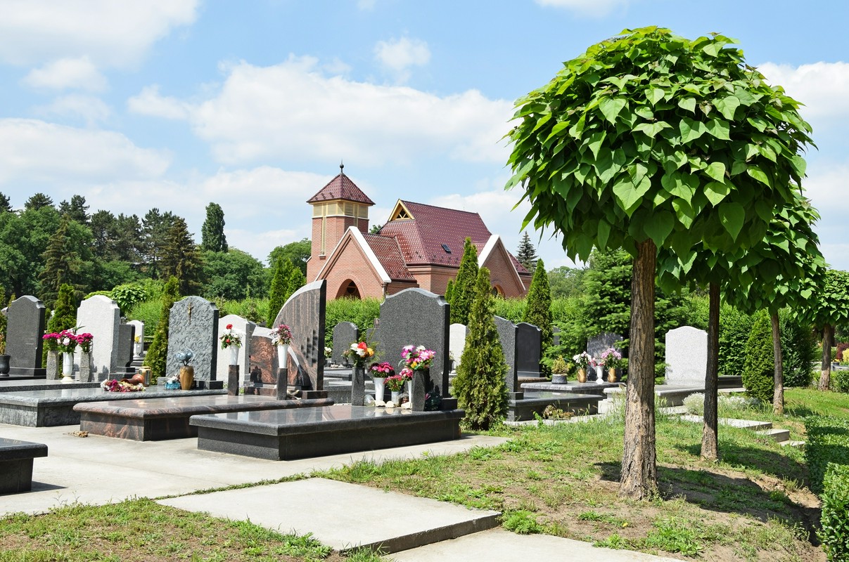 cmentarz